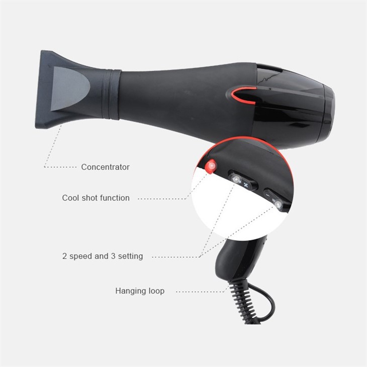 Electric Hair Dryer