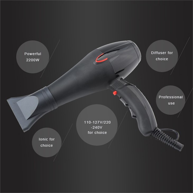 Electric Hair Dryer